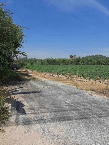 ขาย ที่ดินเปล่า เนื้อที่ 25-1-53 ไร่  ต.โป่ง อ. บางละมุง จ. ชลบุรี