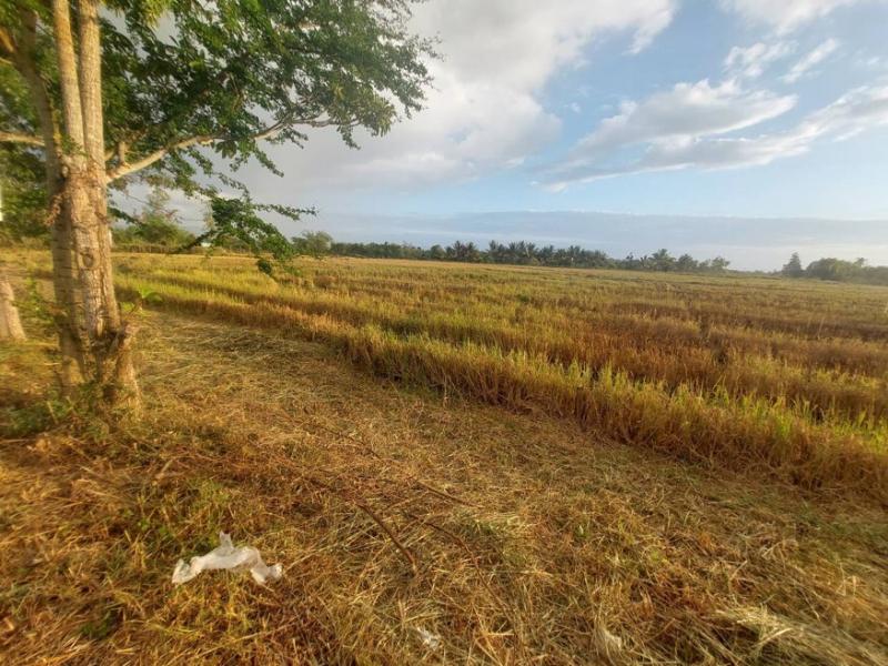 M25755ขายที่ดินเปล่า ถนนย่าพาย บวกค้าง สันกำแพง เชียงใหม่ รายละเอียดเนื้อที่ 1 งานติดถนนย่าพาย เหมาะทำโครงการบ้านจัดสรรที่ดินหันไปทางทิศเหนือผังเมืองสีเขียวค่าโอนคนละครึ่ง สถานที่ใกล้เคียงวัดย่าพายโรงเรียนบ้านร้อยพร้อม ******ราคา 700,000 บาท ****** สนใจสามารถนัดชมสถานที่ได้ พร้อมติดต่อสินเชื่อฟรีติดต่อ ฉัตรยา(ยาย่า) 085-509-9011Line id :yayazzzz หรือกด https://line.me/ti/p/wPxPHPtk2WWhatsApp +66855099011Realty One Estate(Thailand) Co.,Ltd