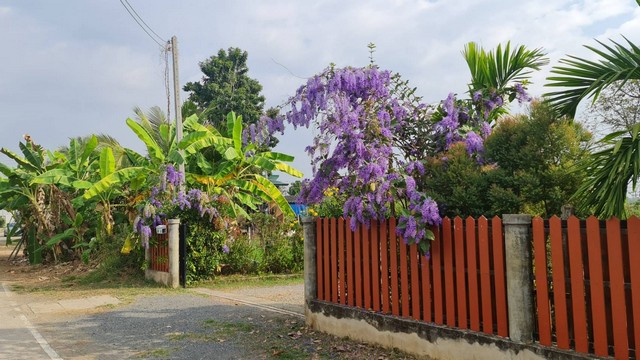 ขายบ้านสวย​สไตล์ลอฟท์ 2หลัง รวม6นอน6น้ำ 1ไร่1งาน 8.7ลบ. ต.ต้นเปา อ.สันกำแพง เชียงใหม่