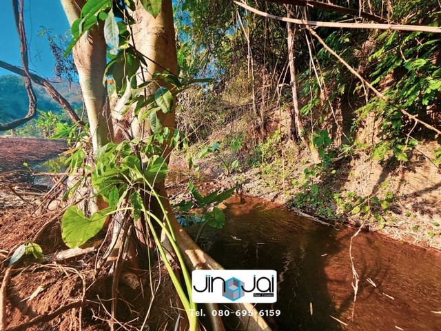 ขายที่ติดน้ำติดเขา น้ำแพร่ หางดงเชียงใหม่ ใกล้อุทยานออบขานแม่ขนิล เหมาะทำบ้านพักตากอากาศ