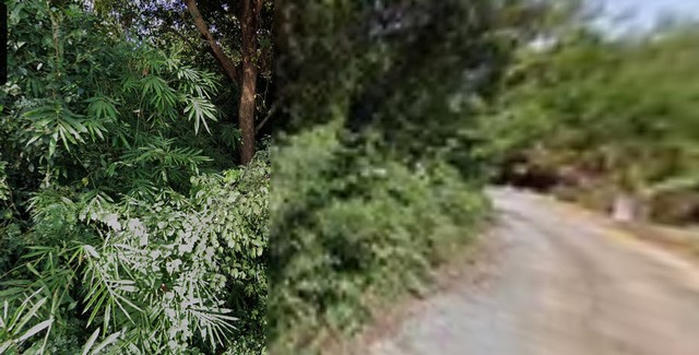 ที่ดิน ที่ดิน เชียงคาน จ.เลย ขนาด = 7774 sq.wa  36926500 บ. ใกล้ ห่างถนนคนเดินเชียงคาน 1 กม. ONE PRICE! ห่างถนนคนเดินเชียงคาน 1 กม. สามารถพัฒนาทำทำโรงแรม และรีสอร์ตได้