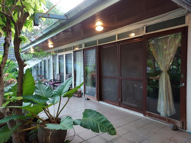 ให้เช่าบ้านเดี่ยว 2 ชั้น ขนาด 1 ไร่ ซอยสุขุมวิท 115 ปากซอยเป็น BTS สถานีปู่เจ้าฯ เข้าซอยไม่ลึก สามารถเช่าเพื่ออยู่อาศัยหรือทำกิจการ