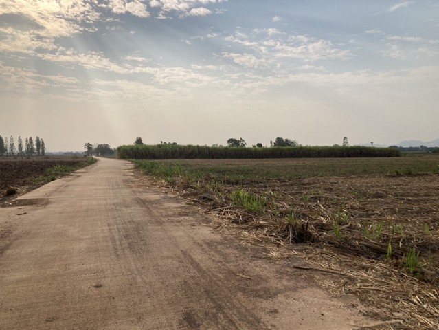 ขายที่ดินแหล่งธรรมชาติ เจ้าของขายเอง ตำบลรางสาลี่  อำเภอท่าม่วง จังหวัดกาญจนบุรี ที่ตั้ง : ตำบลรางสาลี่  อำเภอท่าม่วง จังหวัดกาญจนบุรี ขนาดพื้นที่ : 14 ไร่ 1งานรายละเอียดขายที่ดินครุฑแดง 14 ไร่ 1งานทางคอนกรีตตัดหน้าที่ดิน ห่างทางหลวง 1 กม.กว่าๆพื้นที่ด้านติดถนนยาว ประมาณ 70 เมตร ใกล้ชุมชน ใกล้ เขานางพิม ใกล้หมู่บ้านจัดสรร  ดินดี  มีบ่อน้ำ1ลูก มีน้ำตลอดปี อนาคตอัน