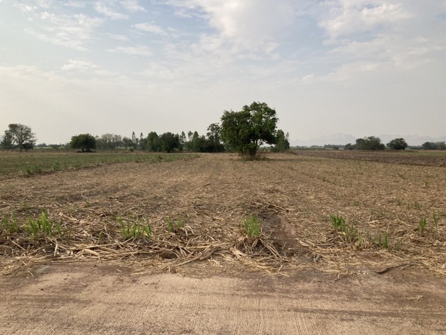 ขายที่ดินแหล่งธรรมชาติ เจ้าของขายเอง ตำบลรางสาลี่  อำเภอท่าม่วง จังหวัดกาญจนบุรี