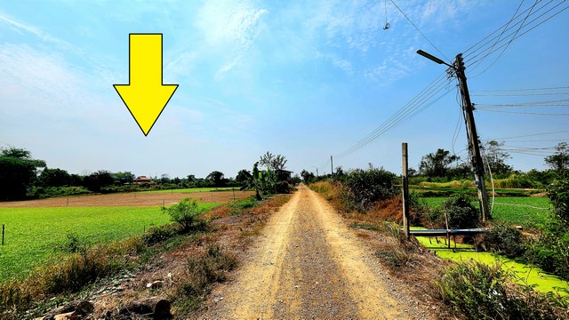 ขายที่ดินคลอง 12 หนองเสือ 240 ตรว ใกล้ถนนรังสิต-นครนายก*** ขายราคา 650,000 บาท *** ( มีเนื้อที่ 240 ตรว )ขายที่ดิน คลอง 12 หนองเสือ 240 งาน บรรยากาศ ทำเล เหมาะ ปลูกบ้าน ทำการเกษตรพอเพียง สามารถซื้อเก็บไว้ในอนาคตได้ค่ะที่ตั้ง : ตำบล หนองสามวัง อำเภอ หนองเสือ ปทุมธานี 12170แปลงที่ดินมีเนื้อที่ 0-2-40 ไร่  หนองเสือ คลอง 12  - กว้าง 20 เมตร   - ลึก  48 เมตร   ลักษณะ: เป็นพื้นที่สีชมพู ปัจจุบันแปลงที่ดิน ป