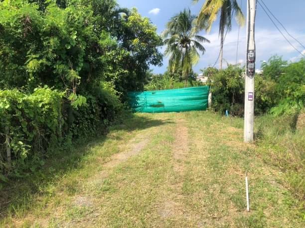 โซนสันกำแพง 31.5 ล้านบาท เนื้อที่ 9 ไร่ ต้นเปา ผังสีเหลือง สร้างพูลวิลล่าขายได้ เดินทางสะดวกสบาย ใกล้ตลาดเจริญเจริญ