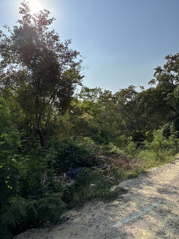 ที่ดิน ซ.ม.ติวานนท์  ติด รร.พิชญศึกษา ติวานนท์ ใกล้แจ้งวัฒนะปากเกร็ด นนทบุรี รถไฟฟ้าสีชมพู