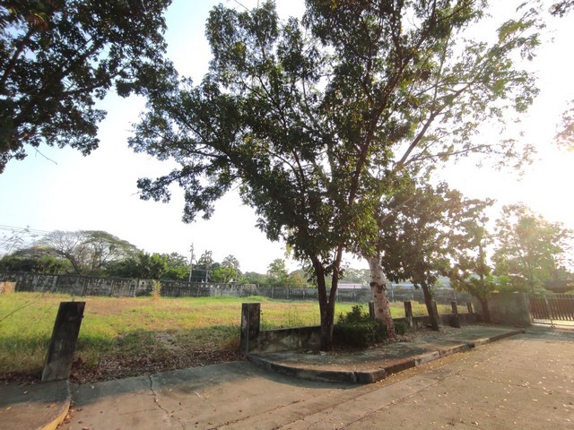 **ขายด่วน** ขายที่ดินเปล่า หมู่บ้านปัญญาอินทรา P.9 ซอย 1ที่ดินแปลงมุม ซอยแรกด้านหน้าหมู่บ้านรายละเอียด:- ขนาด 1-1-13 ไร่ (513 ตรว.) - รูปแปลงเป็นสี่เหลี่ยมคางหมู- หน้าแปลงหันทิศใต้, ถมแล้ว, ล้อมรั้วเรียบร้อย พร้อมสร้างบ้าน- ความยาวแต่ละด้าน 35 ม., 42 ม., 57 ม., 50 ม.- ขายถูกเพียง 30.78 ล้านบาท (ุ60,000 บาท/ตรว.)สถานที่ใกล้เคียง:- แฟชั่นไอส์แลนด์, Maxvalue- สนามกอล์ฟปัญญาอินทรา- สยามอะเมสซิ่งพาร์ค, Chocolate Vil