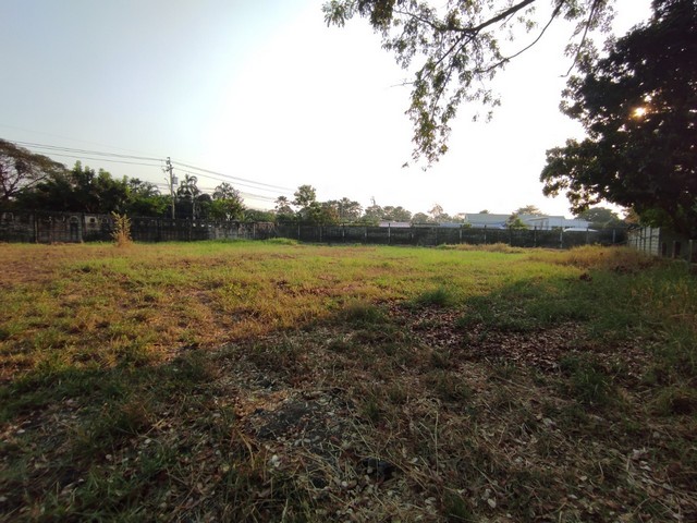 ขายที่ดินเปล่า หมู่บ้านปัญญาอินทราเฟส 9 ขนาด 513 ตรว. ที่สวยถมแล้ว ใกล้แฟชั่นไอส์แลนด์