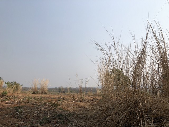 ขายที่สวยบนเขา แบ่งโฉนดขาย ไร่ละ 180000-250000 บาท   เช่า 700 บาท/ไร่/ปี  ต.หล่มเก่า อ.หล่มเก่า จ.เพชรบูรณ์ วิวเขา ใกล้ภูทับเบิก ที่ดินบนเนินเขาวิวสวยทิวทัศน์ดี บรรยากาศสดชื่น บริสุทธิ์ อากาศดี้ดีฟินสุดสุดค่าใช้จ่ายวันโอนทั้งหมดครึ่งครึ่งซื้อผ่อนเจ้าของได้ วางดาวน์ 30% ผ่อนต่อ 5ปีที่ดินสวย ที่ดินบนเขา บรรยากาศสดชื่น แสนสบายสดใส ใกล้แหล่งน้ำ ธรรมชาติรายล้อมทำเลดี วิวส