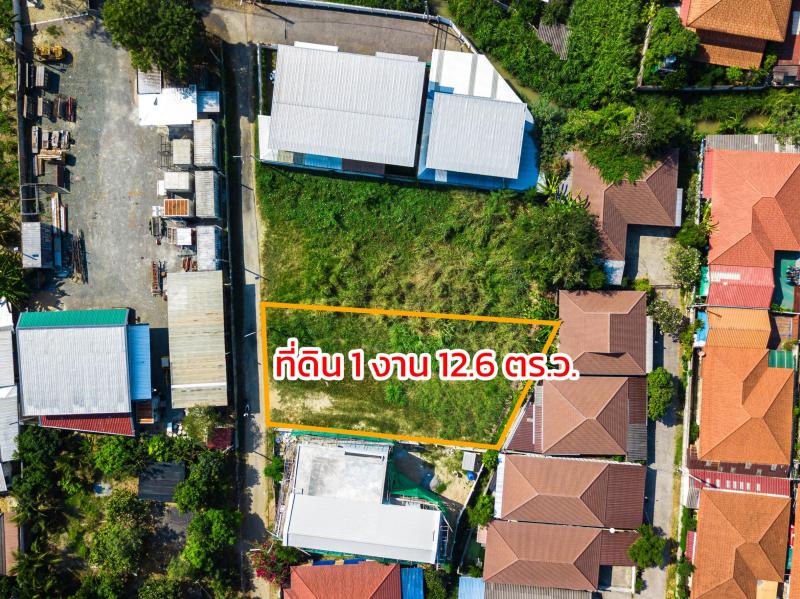 ขายที่ดิน 112.6 ตร.วาและ214ตร.วา เขตชุมชน ใกล้ตลาดบ้านท่อ ในเมืองเชียงใหม่