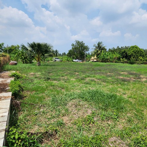 ที่ดิน - 1 RAI 1 Ngan 58 SQ.WA  ใกล้ โรงพยาบาลวัดไร่ขิง วัดไร่ขิง บ้านวังพรม อยู่สบาย นครปฐม