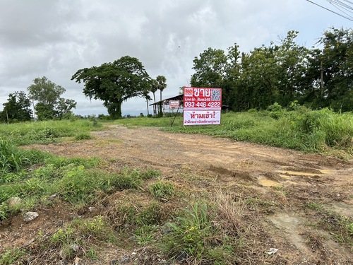 ขาย ที่ดินเปล่า (ถมแล้ว) ติดถนนหลัก พิษณุโลก-สุโขทัย ตำบลป่าแฝก อำเภอกงไกรลาศ จังหวัดสุโขทัย