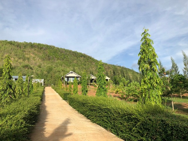 ขายด่วน บ้านพักตากอากาศบรรยากาศร่มรื่นสไตล์รีสอร์ทหลังติดเขา อ.ด่านช้าง จ. สุพรรณบุรี