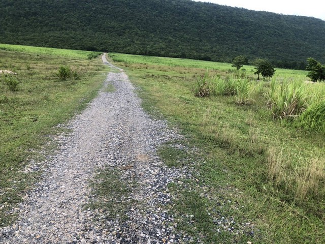 ขายที่ดินติดภูเขา ภูเวียง ที่ดินวิวเขาสวยงามมากธรรมชาติสุดสุด อากาศดีปลอดโปร่งร่มเย็นสบาย มีบ่อน้ำสาธารณะใช้ประโยชน์อุปโภคได้ ที่ดินตั้งอยู่ที่  หมู่ที่ 14 ต.นาจาน อ.สีชมพู จ.ขอนแก่น เนื้อที่รวม 124-2-73 ไร่ มี 6 โฉนด เช่า 1200 บาท/ไร่/ปี  แบ่งขายเป็นไร่ๆ ราคาไร่ละ 300,000 บาท   แบ่งขายเพียง 2 โฉนดเท่านั้น ค่าใช้จ่ายวันโอนทั้งหมดคนละครึ่ง ,ฉ.13243 เนื้อที่ 21-2-27 ไร่ฉ.13244 เนื้อที่ 23-2-52 