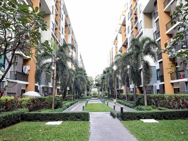 ขายคอนโด ไอคอนโด สุขุมวิท 105 ใกล้ BTS แบริ่ง พร้อมเฟอร์นิเจอร์