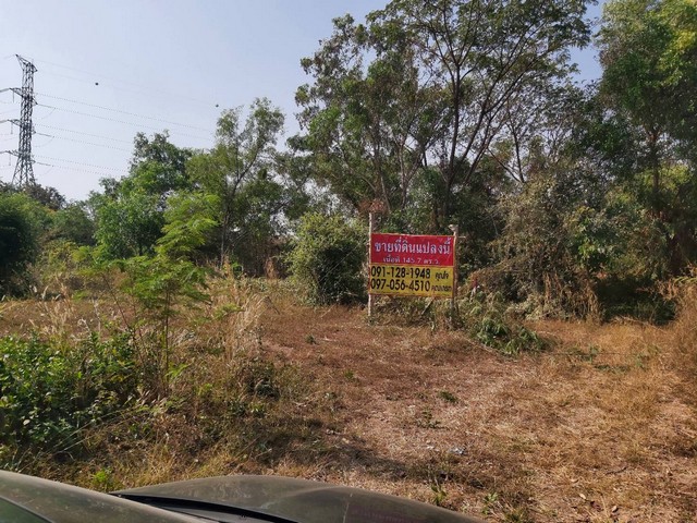 ZE624 ขายด่วนที่ดิน ถมสวย 145.7 ตร.ว.ใกล้สนามบินและบึงหนองโคตร ขอนแก่นพิกัด : https://www.google.com/maps?q=16.44396654,102.77555846ขนาด : กว้างประมาณ 38.47 ม. ลึกประมาณ 15.66 ม.จุดเด่น : เหมาะกับการทำบ้านจัดสรร บ้านสวน และคาเฟ่สถานที่ใกล้เคียง- ถนนมะลิวรรณ 550 ม.- เทศบาลตำบลบ้านเป็ด 2.3 กม.- วิทยาลัยพยาบาล บรมราชชนนี 2.8 กม.- แจ่ม Cafe & Eatery 3 กม.- สนามบิน 3.9 กม.- บึงหนองโคตร 4 กม.- รพ.กรุงเทพ - ขอนแก่น 5.9 กม.- Central 7 กม.- ตลาด 62 บล็อก 8.6  กม.ขาย 1,450,00