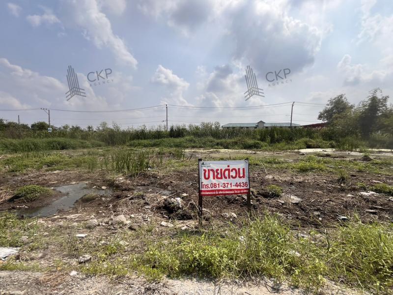 ขายที่ดินเปล่า ขนาด 1 ไร่ เหมาะสำหรับทำที่อยู่อาศัย ใกล้MRTคลองบางไผ่ ต.บางรักพัฒนา อ.บางบัวทอง นนทบุรี สนใจติดต่อสอบถามได้ค่ะการเดินทาง- เส้นทางหลวง 1002  550 เมตร- ถนนกาญจนาภิเษก  1.9 กิโลเมตร- MRT คลองบางไผ่ 2.7 กิโลเมตรรายละเอียด (Description) - ขนาด 1 ไร่- ที่ดินยังไม่ถม- เหมาะสำหรับสร้างที่อยู่อาศัย- ใกล้MRTคลองบางไผ่สถานที่ใกล้เคียง- ตลาดนัดธารทอง  700 เมตร- โรงเรียนวัดลาดปลาดุก  800 