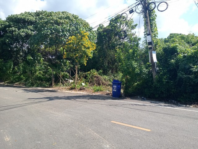 ขายที่ดินว่างเปล่า ซอยสุขาภิบาล 1 สุนทรนนท์ ต.ย่านตาขาว อ.ย่านตาขาว จ.ตรัง PAL 5-0470