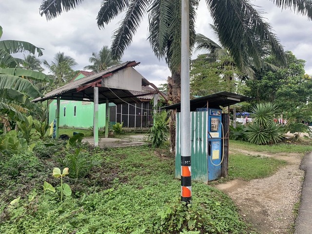 ขายบ้านเดี่ยว  ต.นาชุมเห็ด อ.ย่านตาขาว จ.ตรัง PAL2-0657