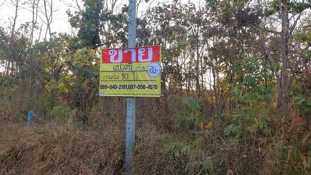 ZP100 ขายที่ดิน 10 ไร่ ใกล้โรงน้ำแข็งกิมซุนไอน์  ถนนหนองคาย-ท่าบ่อ  จ.หนองคายที่ตั้ง : ต.พระธาตุบังพวน  อ.เมือง จ.หนองคายเนื้อที่ : 10 ไร่ กว้างประมาณ  :  70 เมตรลึกประมาณ       : 230 เมตรสถานที่ใกล้เคียง-ห่างถนนหลัก หนองคาย-ท่าบ่อ 500 เมตร-โรงแป้งขนมจีนรุ่งอรุณ  600 เมตร-หจก.หนองหญ้าม้าบล็อค 700 เมตร-วัดป่าวังบัวบานองค์ปู่ขาว  1.3 ก.ม-บริษัทถาวรอุตสาหกรรม  2 ก.ม-มหาวิทยาลัยขอนแก่นวิทยาเขตหน