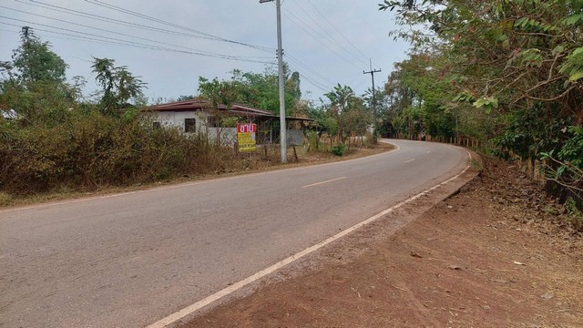 ขายที่ดินติดถนน 13-1-55 ไร่ ใกล้ ดีดีรีสร์อท  บ้านดอนซูด จ.หนองคาย   ZP098