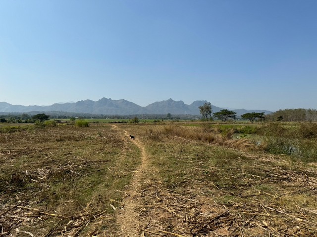 ขายที่ดินใกล้แหล่งท่องเที่ยว หมู่ 6 ต.แจ้ห่ม อ.แจ้ห่ม จ.ลำปาง