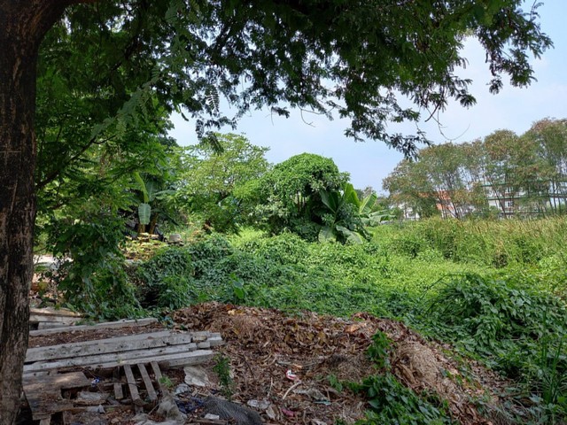 ZT329 ขายที่ดิน ซอยกรุงเทพกรีฑา 27เนื่อที่ 1-0-14 ไร่กว้าง 32 เมตร ลึก 52 เมตร ที่ตั้ง : ซอย กรุงเทพกรีฑา 27 ตำบลคลองประเวศฝั่งเหนืออำเภอพระโขนง จังหวัดกรุงเทพมหานครสถานที่ใกล้เคียง– กรุงเทพกรีฑาสปอร์ตคลับ,Grade Golf Course– ถนนกรุงเทพกรีฑา และถนนกรุงเทพกรีฑาตัดใหม่– ถนนมอเตอรเวย์กรุงเทพชลบุรี– ถนนศรีนครินทร์,ถนนรามคำแหง– ห้างเดอะมอลบางกะปิ,โรงพยาบาลสมิติเวช,สถาบันนิด้าปักห