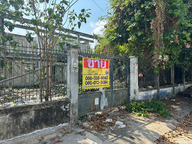 ขายที่ดิน 80 ตารางวา ซอยนวมินทร์ 14 แยก 3  บางกะปิ กรุงเทพมหานคร   ZT326