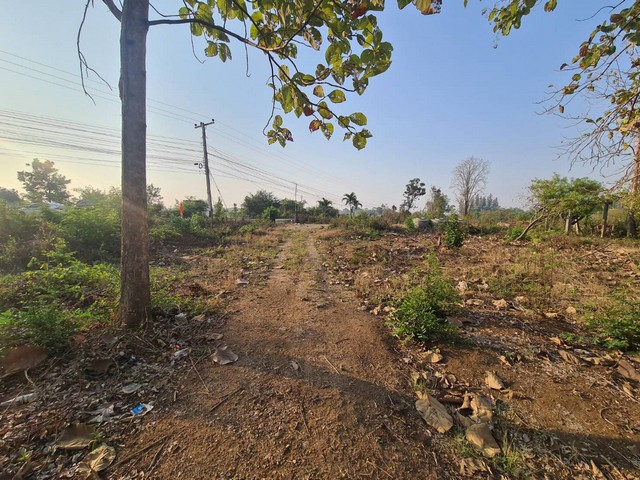 ที่นครสวรรค์ 23.99 ไร่ติดถนน ตำบลพระนอน อำเภอเมืองนครสวรรค์ จังหวัดนครสวรรค์