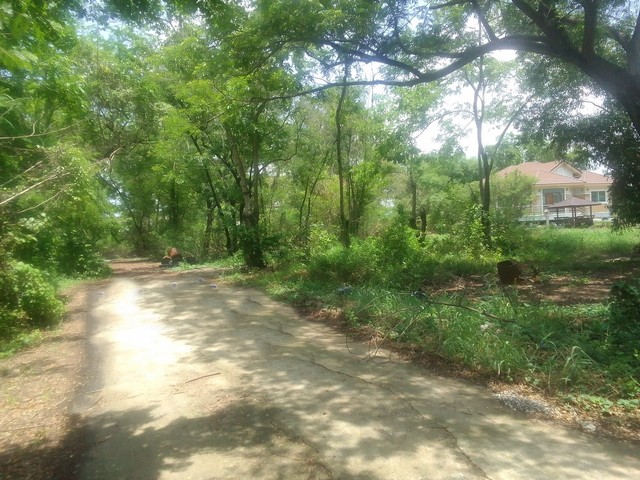 ถูกที่สุด!  ที่ดินใจกลางเมือง ทำเลดี 343.8ตรว. 30000/ตรว.เท่านั้น  รามอินทรา117 ถ.เจริญพัฒนา มีนบุรี 086-301-6161