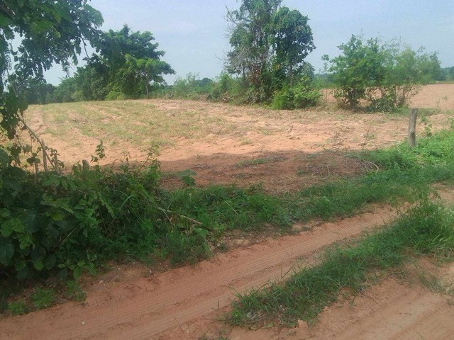 ขายด่วน ที่ดิน เนื้อที่ 14 ไร่ 1 งาน 17.1ตารางวา จ.ขอนแก่น อ.เมือง ต.ท่าพระ