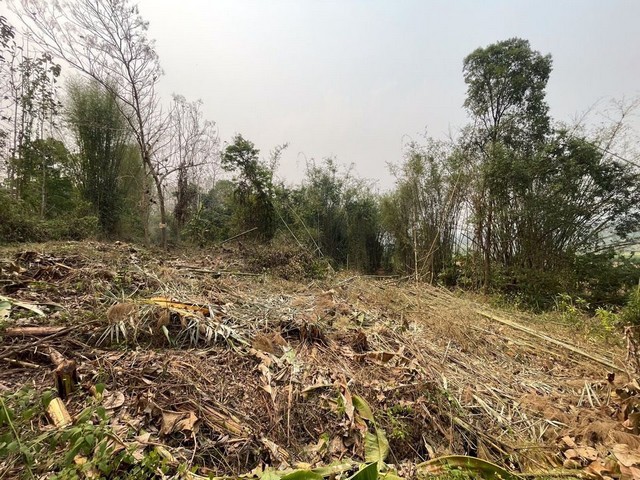 ขายที่ดินเปล่าติดลำธาร โฉนดครุฑแดง ที่ดินเป็นแนว Contour ลาดเอียงลงไปหาน้ำสวยสวย