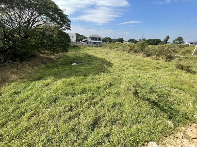 ที่ดินเชียงใหม่ 358 ตารางวา ทำเลดี ที่แปลงสวย ร่มรื่น ต.หนองจ๊อม อ.สันทราย จ.เชียงใหม่