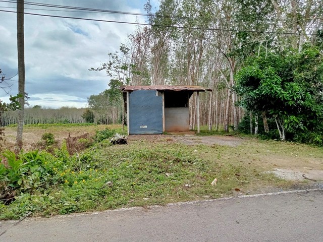 ขายโรงเรือนชั้นเดียว ต.ท่าเรือ อ.ท่าแพ จ.สตูล   PAP 2-0452