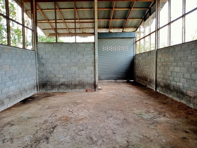 ขายโรงเรือนชั้นเดียว ต.ท่าเรือ อ.ท่าแพ จ.สตูล   PAP 2-0452