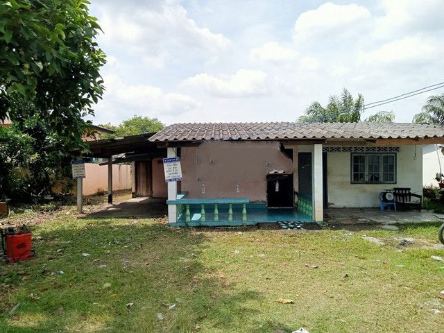   รายละเอียดเพิ่มเติม Code ID : PAP7-0626  ราคาขาย 1,000,000  บาท- ขนาดพื้นที่ :   110.7 ตรว.- พื้นที่ใช้สอย :  83 ตรม. - จำนวนห้อง :  1 ห้องนอน 1ห้องน้ำ - ที่จอดรถ :    1  คัน- บ้านหันทางทิศ : - พิกัดทรัพย์ : https://maps.app.goo.gl/L7NZPvZo9RFc6TM8A    สถานที่ใกล้เคียง- ใกล้โรงเรียนบ้านเขาจีน  - ใกล้น้ำดื่มสโตย - ใกล้ร้านขายน้ำ- ใกล้บิ๊กซี สตูล  สอบถามเพิ่มเติม/นัดชมโทร. 097-419-5982(พลอย)โทร. 096-932-4624(ออมสิน)Line : @panaya (มี@ด้านหน้า)ปรึกษาสินเชื่อฟรี One Stop Serv