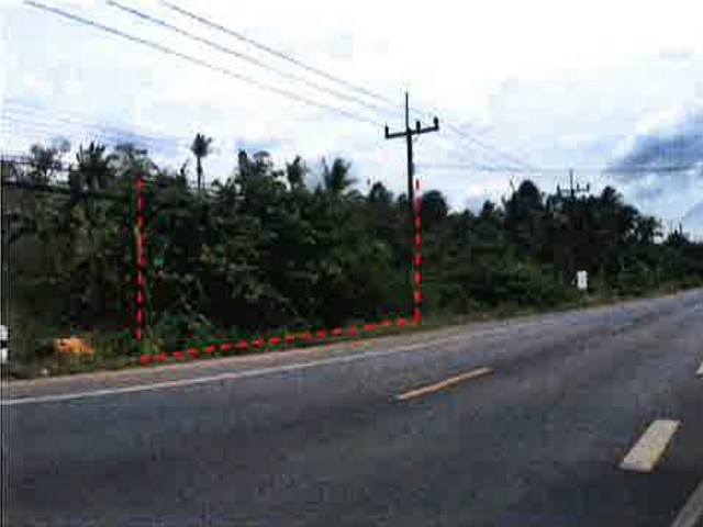 ขายที่ดินว่างเปล่า  ต.โตนดด้วน อ.ควนขนุน จ.พัทลุง   PAP 6-0489