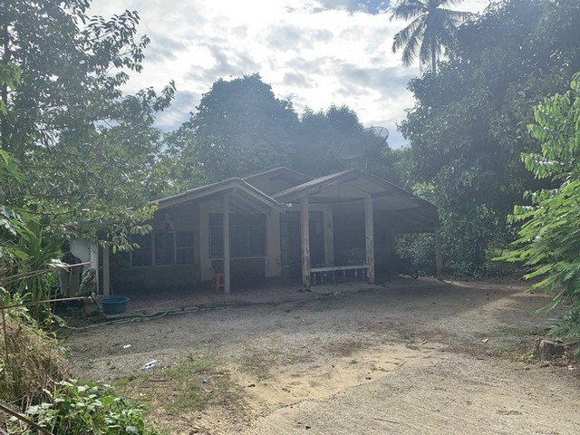   รายละเอียดเพิ่มเติม Code ID : PAP ZF_085  ราคาขาย  1,240,000 บาท- ขนาดพื้นที่ :   1020 ตรว.- พื้นที่ใช้สอย :   120 ตรม.- จำนวนห้อง :  2 ห้องนอน 2 ห้องน้ำ  - ที่จอดรถ :   1    คัน- บ้านหันทางทิศ : - พิกัดทรัพย์ : https://maps.app.goo.gl/F5pQbbQHUaMbkaoa8    สถานที่ใกล้เคียง- ใกล้สำนักตาขุนโหรญาโหร-แม่จันเทวี - ใกล้วัดร่มเมือง- ใกล้  สวนสละลิปสิงห์  สอบถามเพิ่มเติม/นัดชมโทร. 097-419-5982(พลอย)โทร. 096-932-4624(ออมสิน)Line : @panaya (มี@ด้านหน้า)ปรึกษาสินเชื่อฟรี One Stop Se