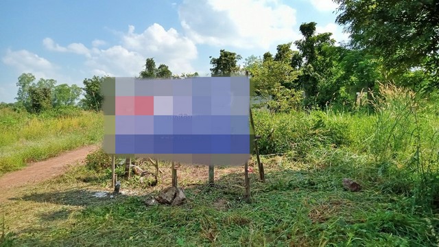 ขายที่ดิน      เมืองกำแพงเพชร กำแพงเพชร (PAP-1-0479 )