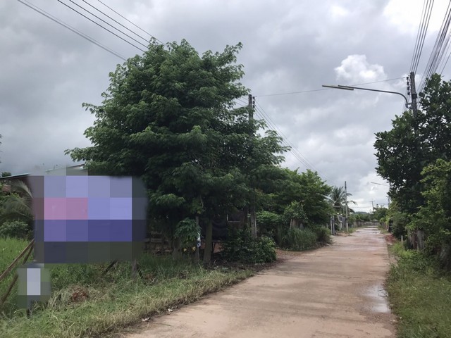 ขายที่ดิน        พรานกระต่าย กำแพงเพชร (PAP-4-0629 )