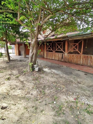 ขายบ้านไม้           คลองขลุง กำแพงเพชร (PAP-1-0177)