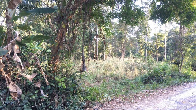 ขายที่ดิน บ้านนาคำ ต.นาคำ อ.คำเขื่อนแก้ว จ.ยโสธร ที่สวน สามารถปลูกบ้านอยู่อาศัยได้ ทำสวนได้ 1 แปลง  3งาน 80ตรว.ราคา 450,000 บาทสถานที่ใกล้เคียง อบต.บ้านนาคำhttps://maps.app.goo.gl/2Wc5kM7rHjxejHAd6สถานที่ใกล้เคียง รร.บ้านนาคำhttps://maps.app.goo.gl/2Wc5kM7rHjxejHAd6โทร-ไลน์ : 084-633-6663#ขายที่ดิน #ขายที่ดินนาคำ #ขายที่ดินบ้านนาคำ #ขายที่ดินยโสธร #ขายที่ดินคำเขื่อนแก้ว #ขายที่ดินอิสาน