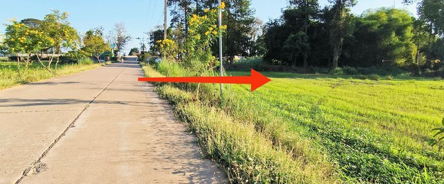 รหัสทรัพย์ c11003ขายที่นา เนื้อที่ 9 ไร่ 2 งาน 29.6 ตร.ว. ใกล้ถนนสี่เลน(พรหมพิราม-วัดโบสถ์) ต.หอกลอง อ.พรหมพิราม จ.พิษณุโลกรายละเอียดหน้ากว้าง 122 ม.หลังกว้าง 55 ม.ขวาลึก 175 ม.ซ้ายลึก 210 ม.จากถนน 4 เลนส์ เพียง 100 ม.ด้านซ้ายและหลังติดถนนสาธารณะ----------------------------------------------------สถานที่ใกล้เคียง- รร.วัดหอกลาง 450 ม.-วัดหอกลอง 1กม.-สวนอินทผลัมคุณปู 280 ม.-สถานีอนามัยหอกลอง 3.3 กม.-รร. จุฬาภรราชวิทยาลัย 6.8 กม.   พิกั