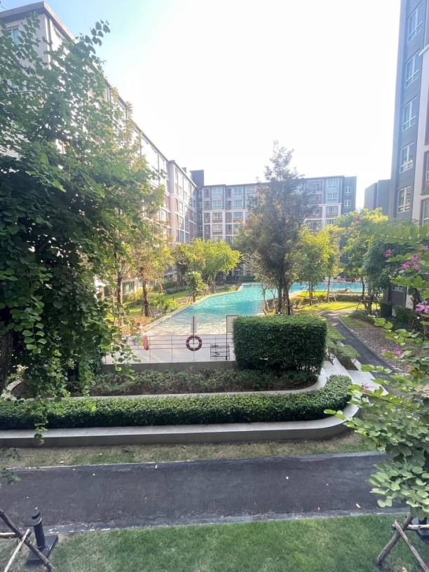 ขายเพียง 1.99 ล.เท่านั้น ดีคอนโด พิงค์ 30 ตรม. วิวสระว่ายน้ำ เฟอร์นิเจอร์ครบ ใกล้เซ็นทรัลเฟสติวัล เดินทางสะดวกสบาย สิงอำนวยความสะดวกครบครัน