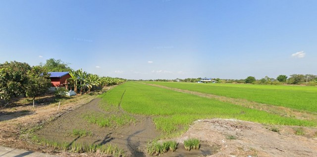 ขายที่ดิน 17 ไร่ 23.6 ตารางวา เจ้าของขายเอง ตำบลลาดหลุมแก้ว อำเภอลาดหลุมแก้ว จังหวัดปทุมธานี ที่ตั้ง : ตำบลลาดหลุมแก้ว อำเภอลาดหลุมแก้ว จังหวัดปทุมธานี 12140https://maps.app.goo.gl/Qn5wiuQW8bpjNK739ขนาดพื้นที่ :  17 ไร่ 23.6 ตารางวารายละเอียดขายที่ดินติดโครงการถนนราชพฤกษ์ตัดใหม่ช่วงรังสิต-ปทุมธานี บรรจบกับถนน 346 ที่ดินติดแนวถนนตัดใหม่กว้างเกือบ 50 เมตรลึกประมาณ 600 เมตร ปัจจุบันเป็นท้องนามีเนื้