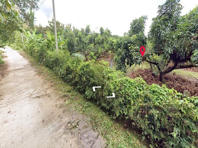 ขายที่ดิน เนื้อที่ 8 ไร่ 1 งาน 54.8 ตรว. 2 แปลงติดกัน  พร้อมบ้านเดี่ยวและสวนลำใย ถนนอ.เมืองน่าน สันติสุข  อำเภอภูเพียง จังหวัดน่าน