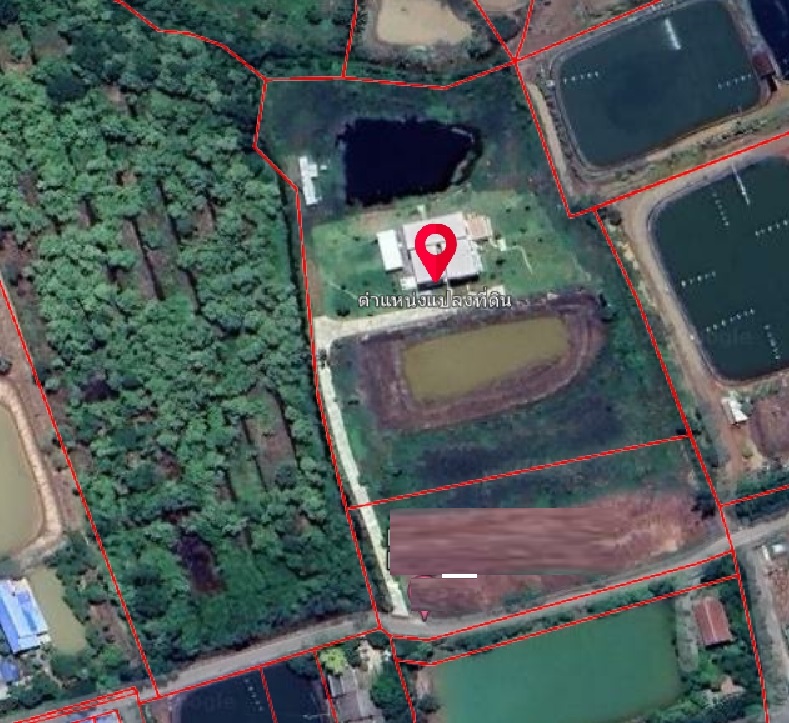 ให้เช่าที่ดิน6ไร่พร้อมบ้านเดี่ยว2ชั้นพื้นที่ใช้สอย1000ตร.ม.ย่านอ.เมืองฉะเชิงเทรา จ.ฉะเชิงเทรา ไฟฟ้า3เฟสและระบบหลังคาSolar Roof เหมาะสำหรับอยู่อาศัย บ้านพักผู้สูงอายุ โรงพยาบาลขนาดเล็กค่าเฟ่ ร้านอาหาร พื้นที่แคมปิ้ง ริมสระน้ำขนาดใหญ่ พร้อมเฟอร์นิเจอร์ครบครันพร้อมเข้าดำเนินการใกล้แม่น้ำบางประกง , วัดสมาน , รพ.โสธาราเวช , รพ.ฉะเชิงเทรา,วัดหลวงพ่อโสธรอายุบ้าน 3 ปี ห