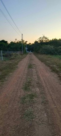 ขายที่ดิน 65ตรว.เริ่ม 250,000บ. มี 2แปลง สาธารณูปโภคครบ บ้านกอลุง ต.หนองหนาม อ.เมือง ลำพูน