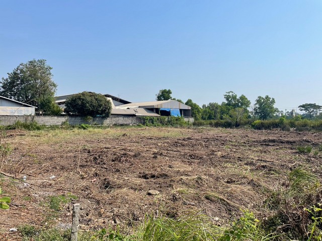 ที่ดินถมแล้ว 2 ไร่ คลอง10หนองเสือ ติดถนนคอนกรีตกว้าง 8 เมตร ไฟฟ้าประปาครบ แหล่งชุมชน